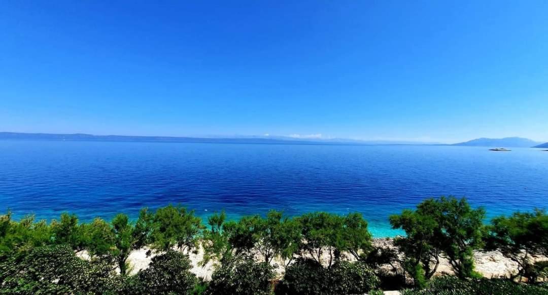Blueness Appartement *